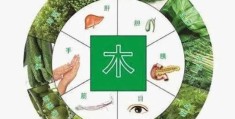 八字缺木对健康的影响