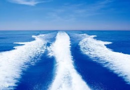 八字格局金清水白