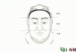 面相基础：三庭十二宫是哪里