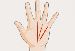 容易创业成功的男人手相