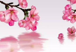 八字命理中的19种桃花（八字命理中的19种桃花是什么）