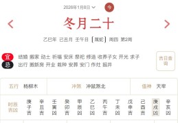 2026年1月8日每日五行穿衣指数解读搭配
