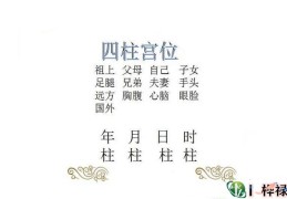 八字四柱论六亲，命理八字宫位六亲论