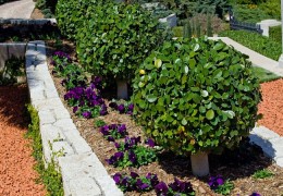 公墓好风水选择要点