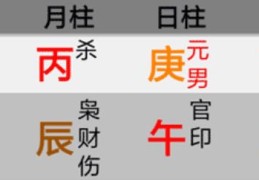 什么是透干？得根？通根？