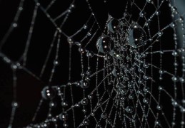 命犯天罗地网的化解方法