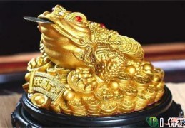 店里放什么招财最灵验