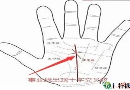 ​能赚钱的人手相