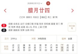 2026年2月11日每日五行穿衣指数解读搭配