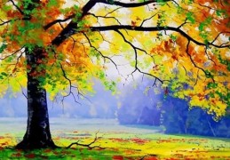 ​甲木男性格特征