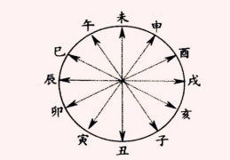 八字中有六冲好吗