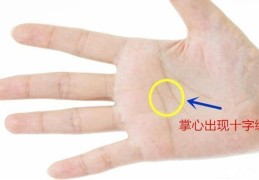 ​顶级富贵的手相特征