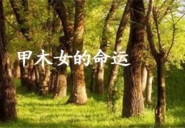 甲木日元的女人命好吗