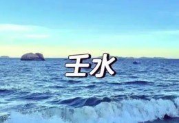 壬水命的人2025年的运气好不好