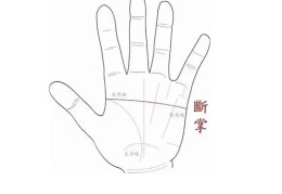 断掌手相命好吗