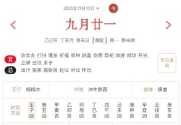 2025年11月10日每日五行穿衣指数解读搭配