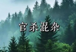 官杀混杂的八字是什么意思，官杀混杂要怎么办