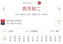 2025年4月29日每日五行穿衣指数解读搭配