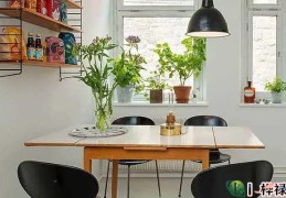 别墅书房放什么植物风水好