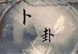 六爻占婚姻的象义详解