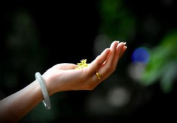 异性缘好的女命八字（异性缘好的女命八字好吗）