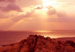 如果八字用丙火怎么补