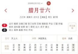 2026年2月13日每日五行穿衣指数解读搭配