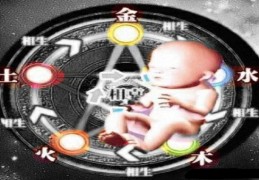 胎元是什么意思