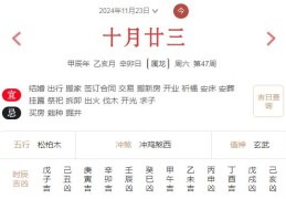 2024年11月23日每日五行穿衣指数解读搭配