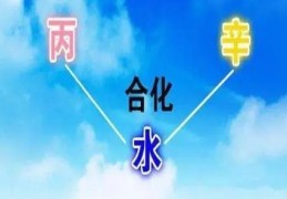 八字见丙辛合好吗