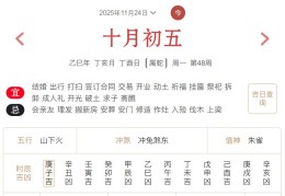 2025年11月24日每日五行穿衣指数解读搭配