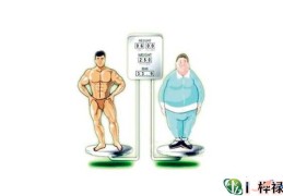 哪种八字的人胖点运势好