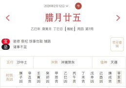 2026年2月12日每日五行穿衣指数解读搭配