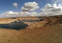 2024年开始走十年好运的生肖