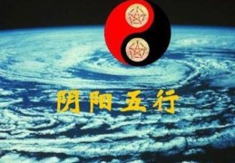 如何区分八字中的体和用