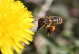 七杀格命局是什么意思