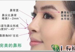 温顺旺夫的女人面相