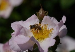怎么才能吸引到女人（怎么才能吸引到女人的注意力）