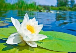 盲派八字格局行运口诀