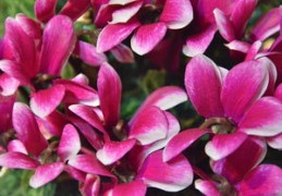 哪种八字容易发横财（哪种八字容易发横财呢）