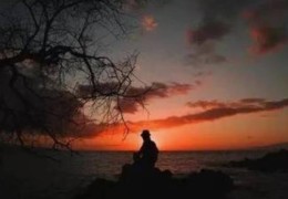 八字印枭重的特点