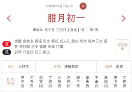 2024年12月31日每日五行穿衣指数解读搭配