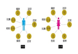 八字中的六亲有哪些