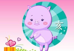 属猪员工办公风水