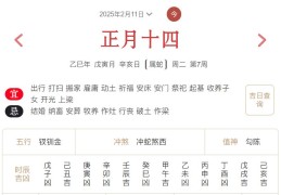 2025年2月11日每日五行穿衣指数解读搭配