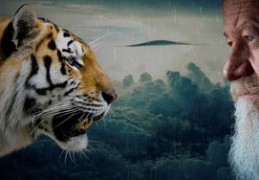 五行水旺的男人（五行水旺的男人的特点）