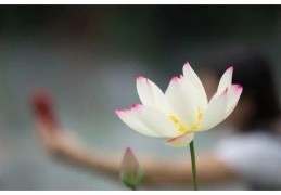 盲派命理口诀技巧