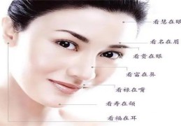 大鼻子的女人财运好吗