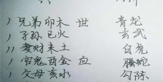 六爻子孙爻代表什么