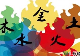 什么样的八字忠诚（什么样的八字忠诚最好）